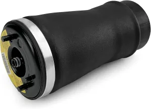 Air Suspension Spring Bag Rear Left Compatible with X5 E53 2000-2006, OEM Number Replace 37126750355