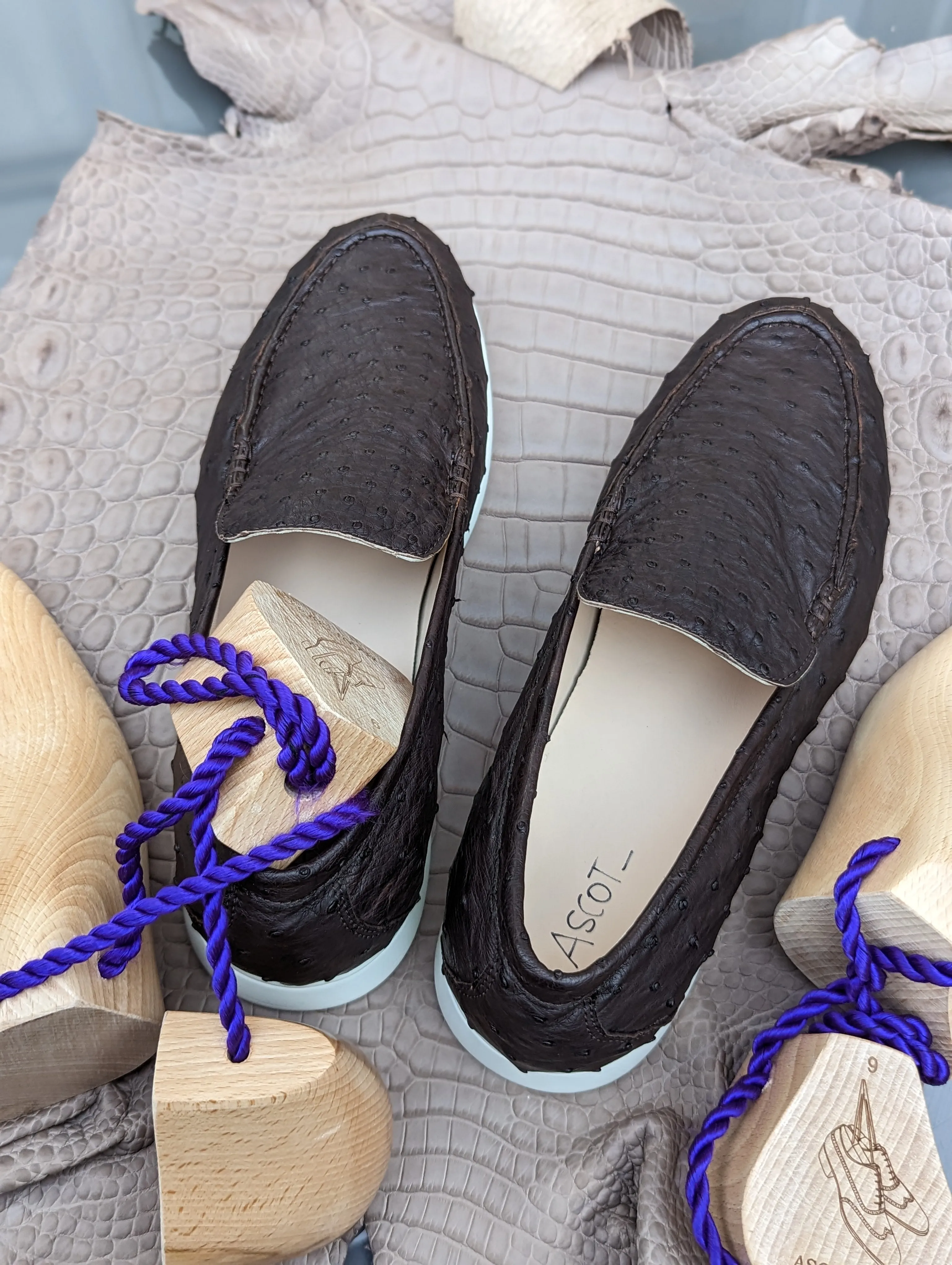 Ascot Cannes - Black Ostrich