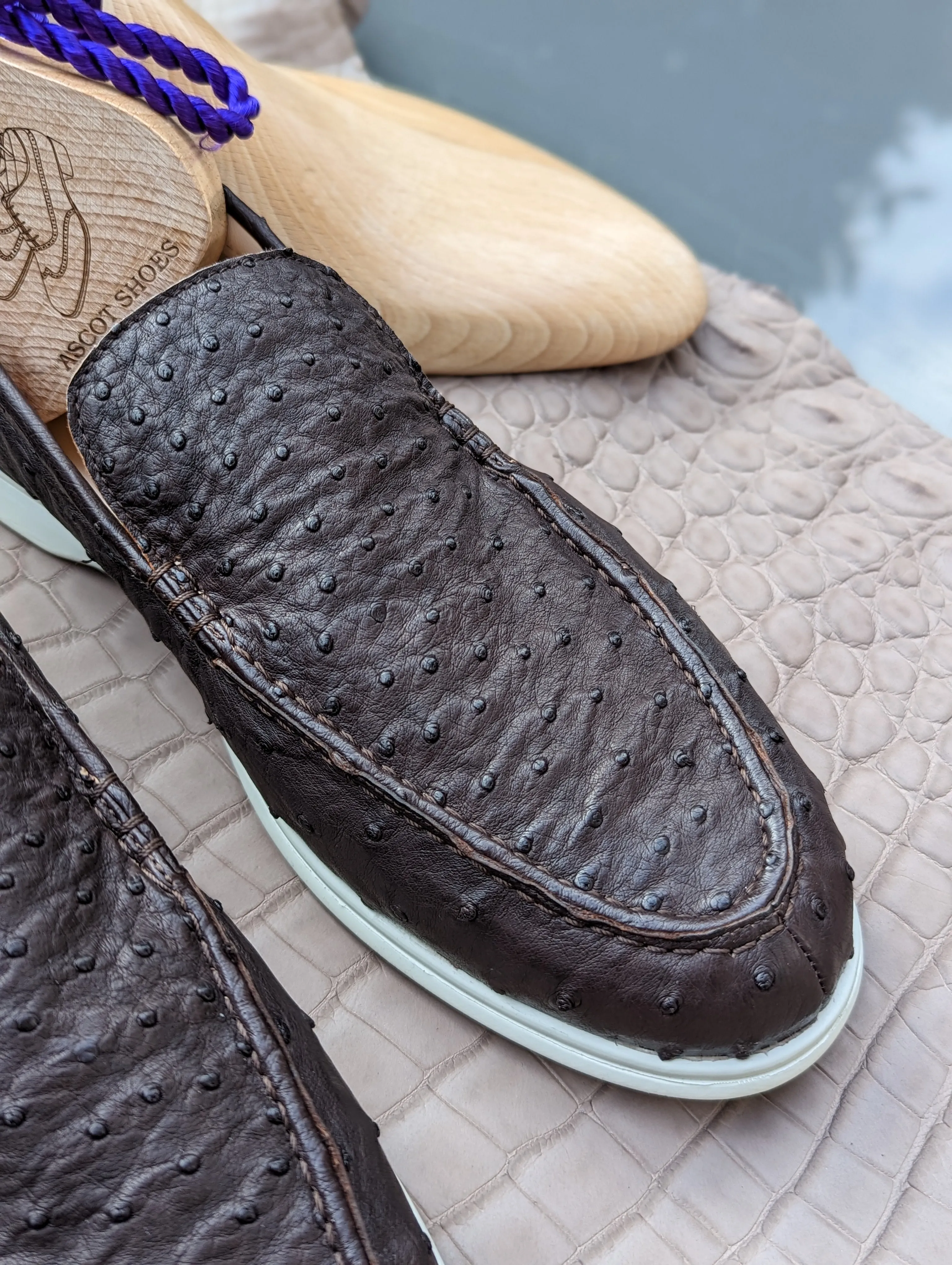 Ascot Cannes - Black Ostrich