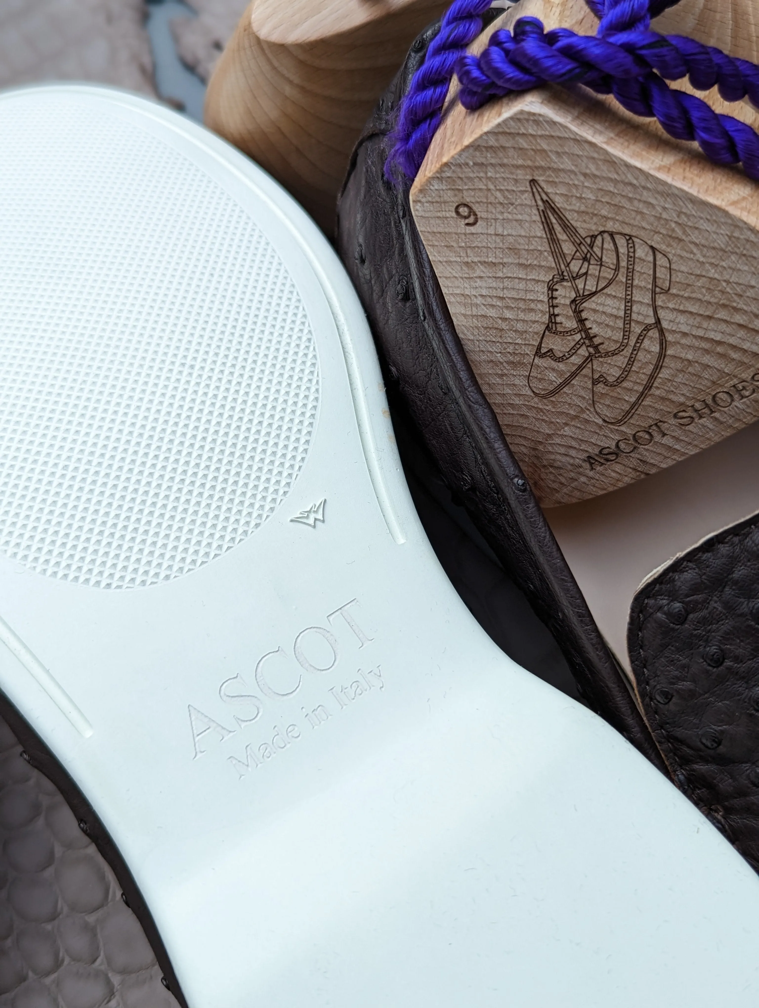 Ascot Cannes - Black Ostrich
