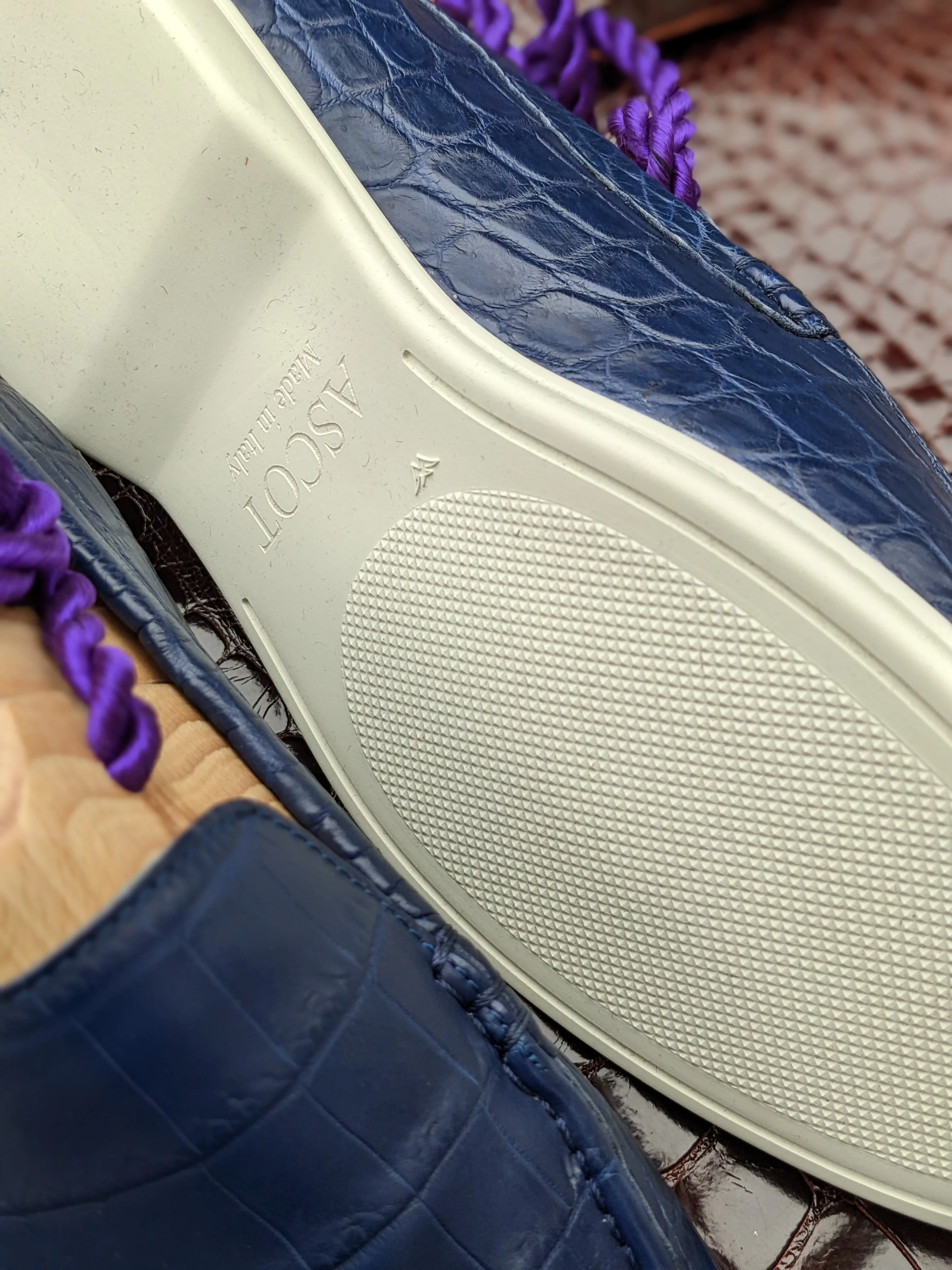 Ascot Cannes - Blue Crocodile