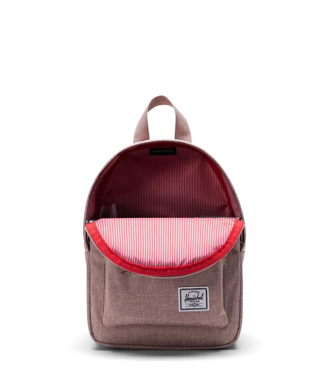 Classic Mini Backpack Pink