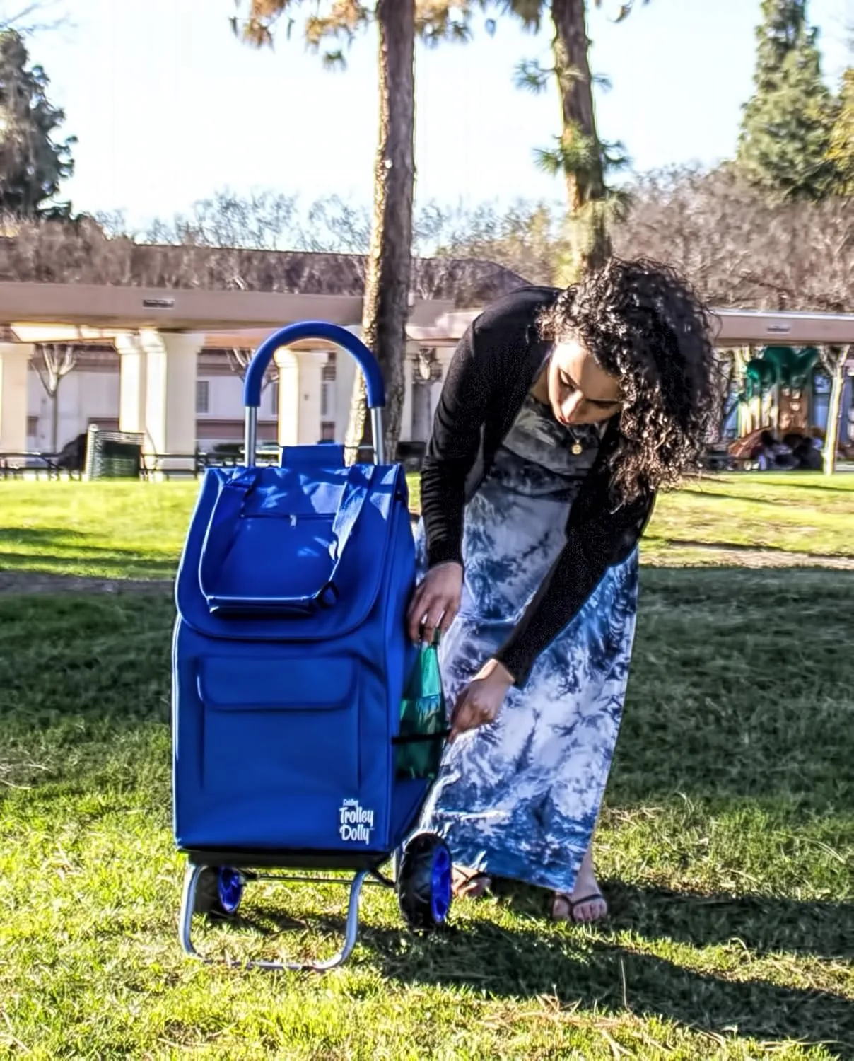 dbest products Trolley Dolly Blue Foldable Shopping cart for Groceries with Wheels and Removable Bag and Rolling Personal Handtruck, Standard