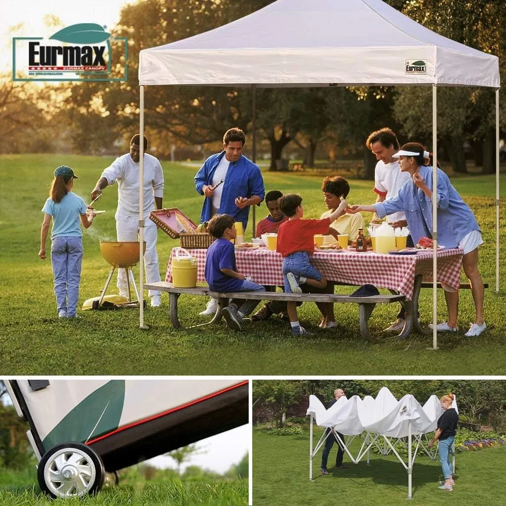 Eurmax USA Premium 10'x10' Pop-up Canopy Tent Commercial Instant Canopies Shelter with Heavy Duty Wheeled Carry Bag Bonus 4 Sand Bags (Black)