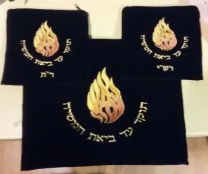 Matching Talis And Tefilin Bags - Haesh Sheli