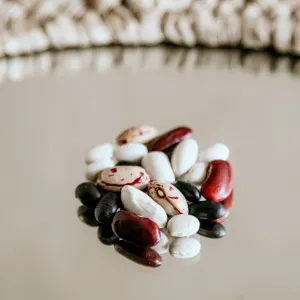 Organic 5-Bean Mix