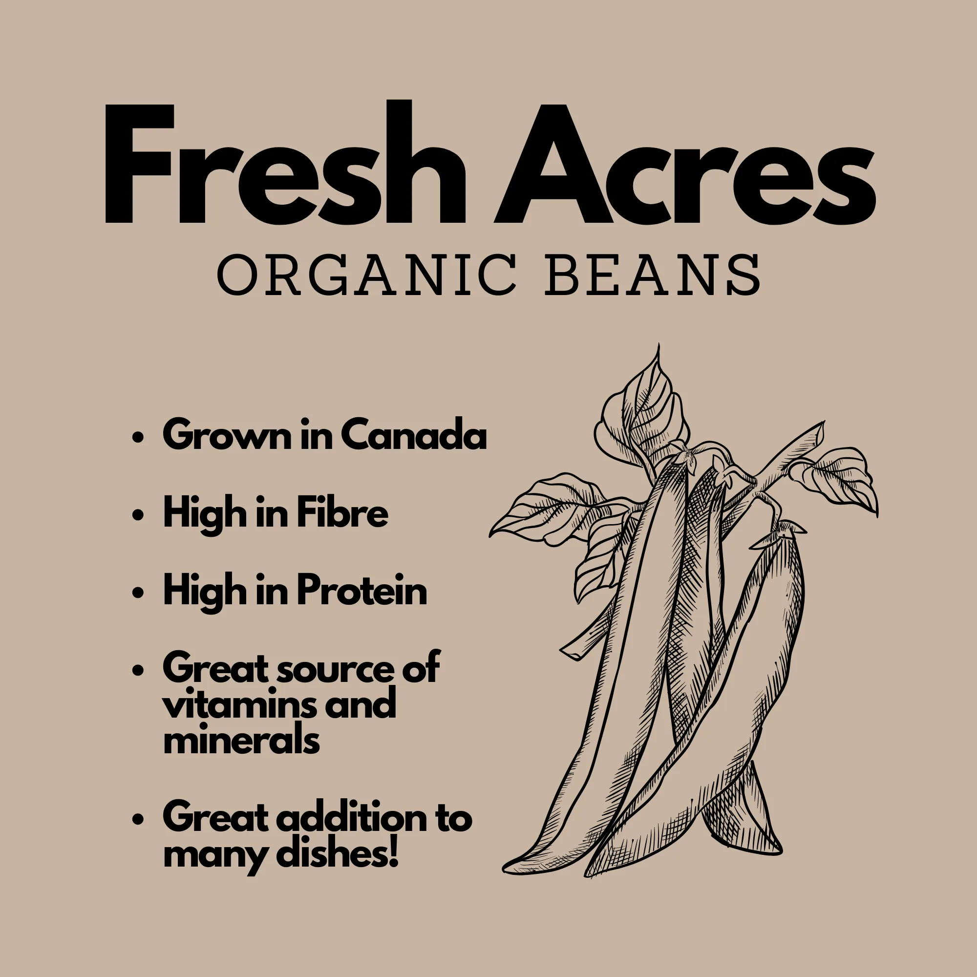 Organic 5-Bean Mix