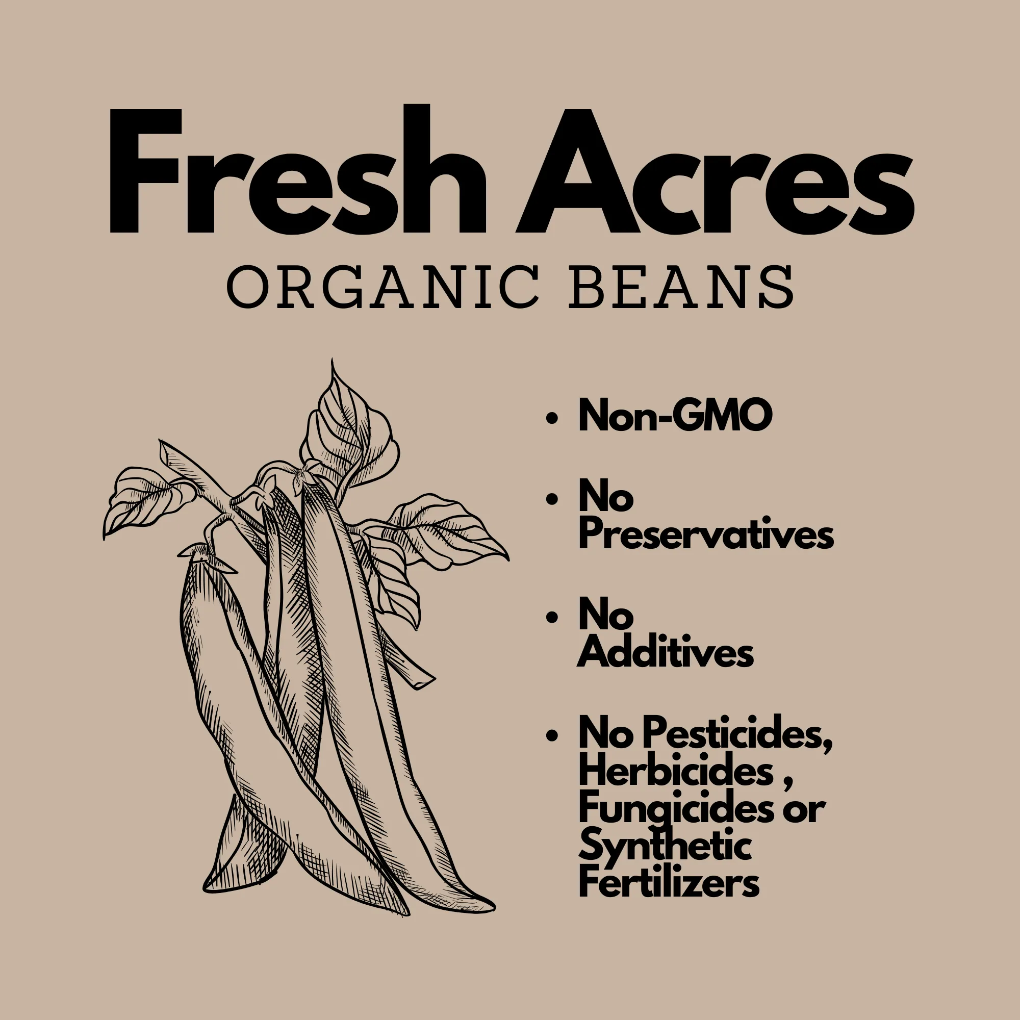Organic 5-Bean Mix