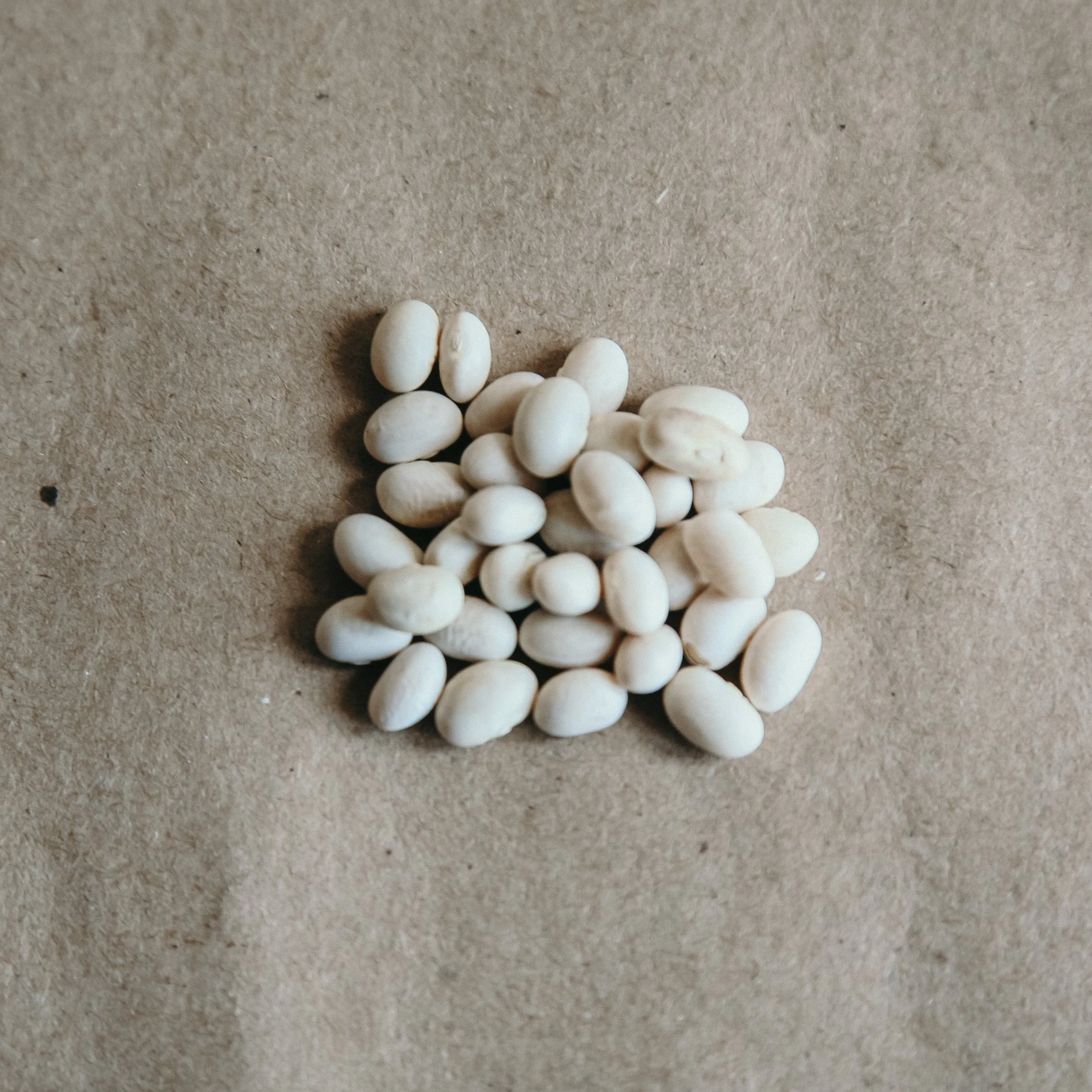 Organic Navy Beans
