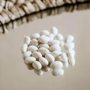Organic Navy Beans