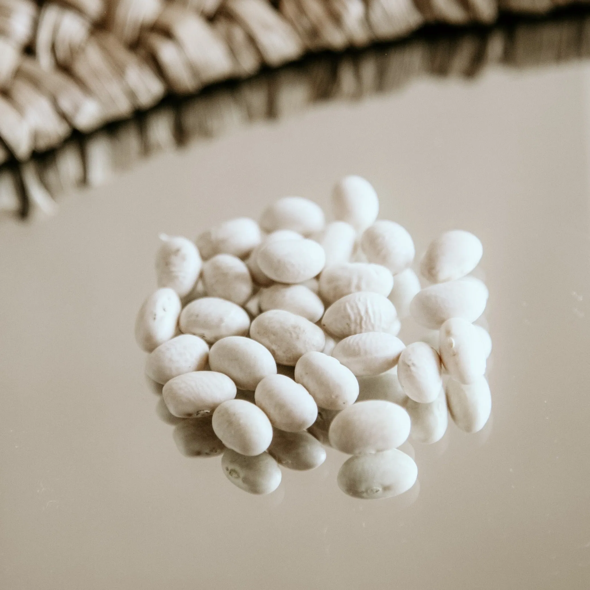 Organic Navy Beans