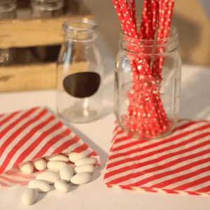 Red Striped Paper Treat Bags