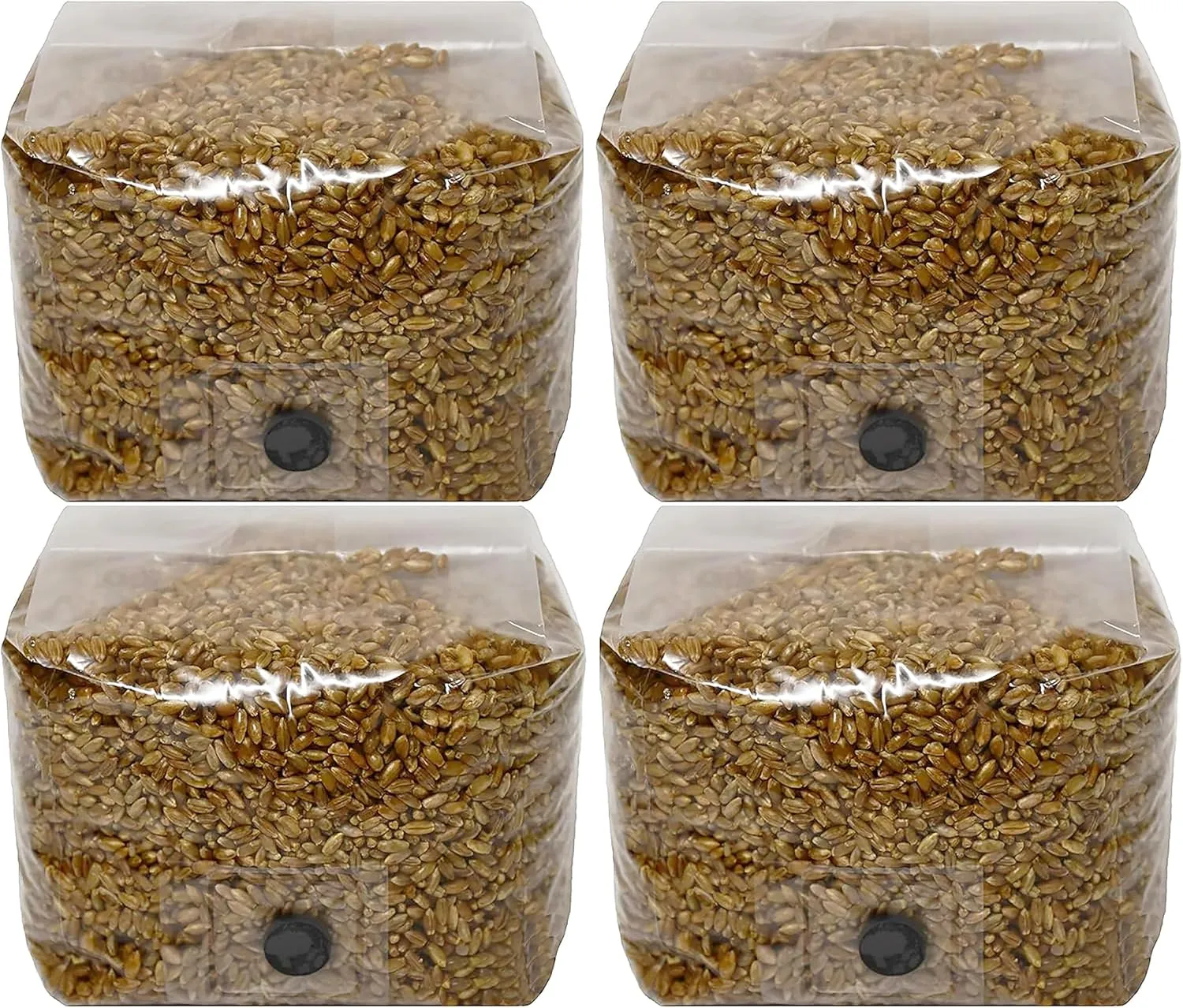 Rye Berry Mushroom Substrate Grow Bags with Self Healing Injection Port (3lbs Bag) (4)