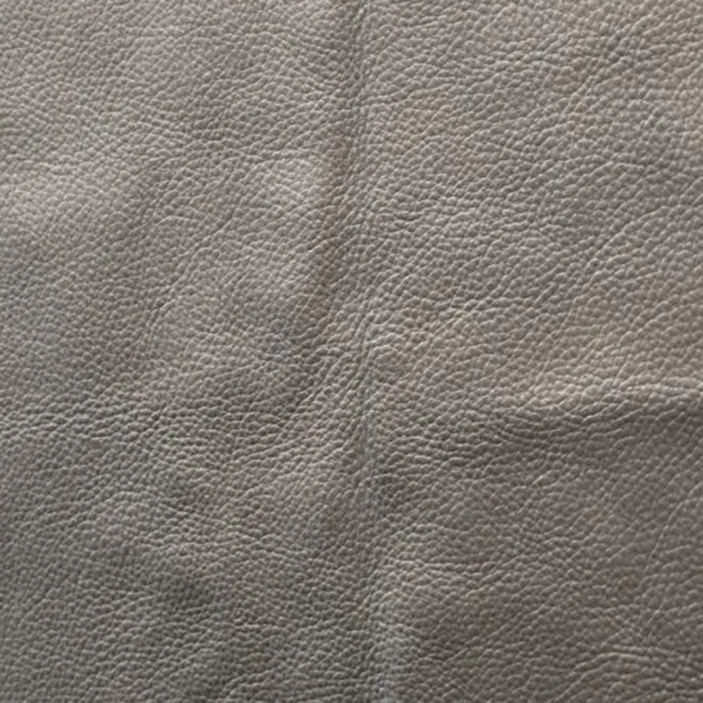 the covet | crossbody